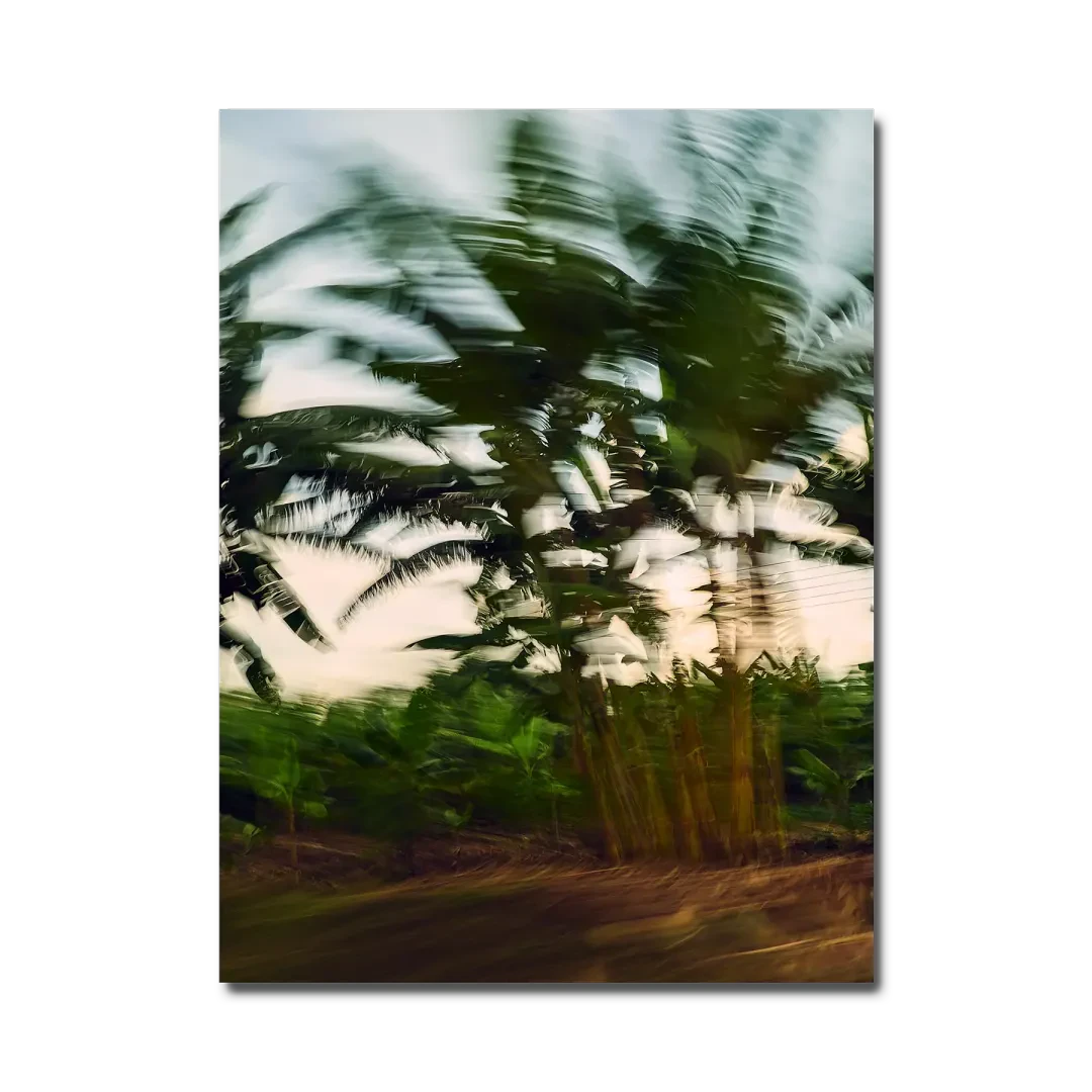 Rwenzori Series #6
