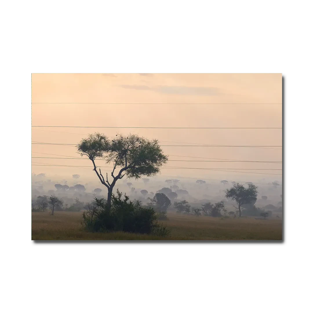 Rwenzori Series #10
