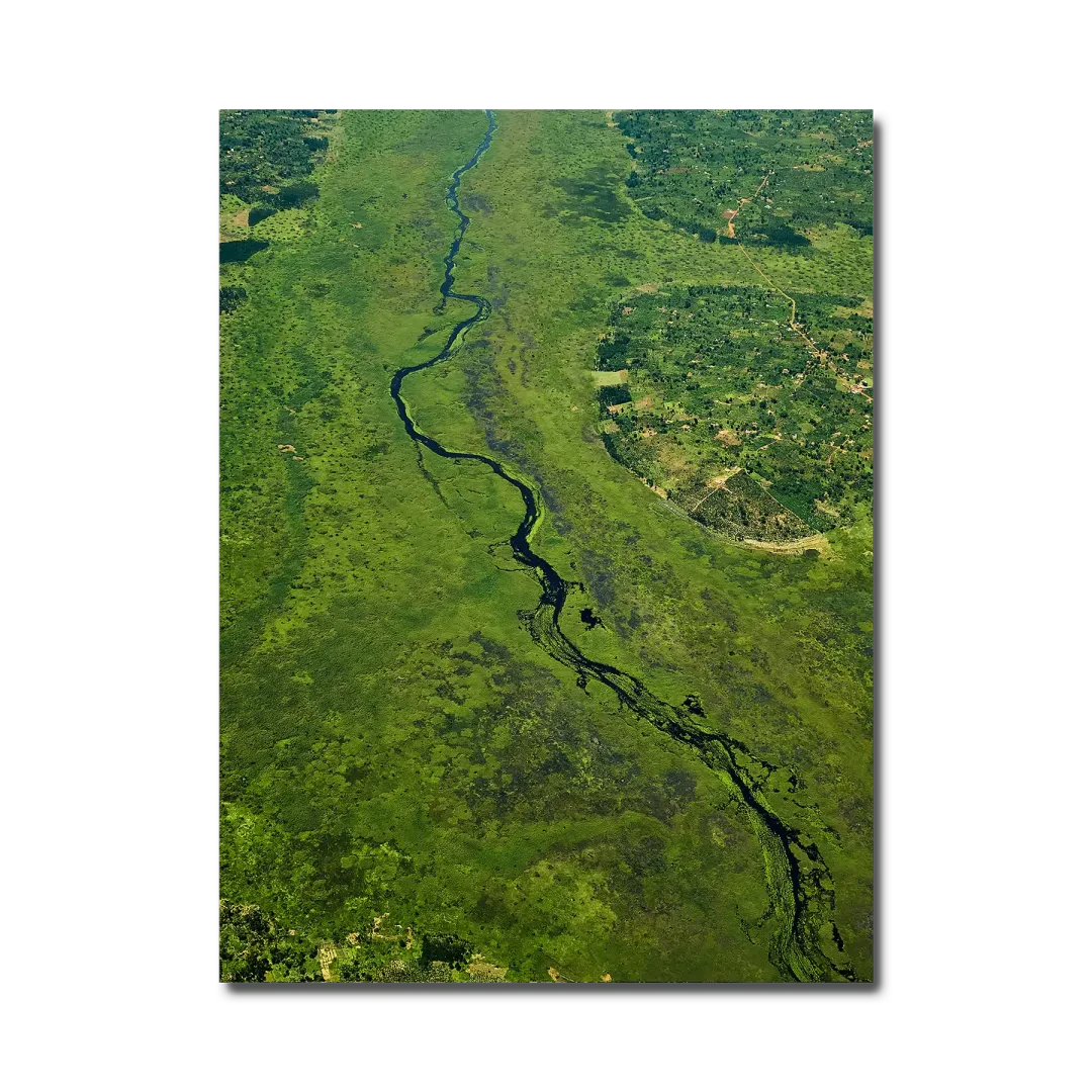 Rwenzori Series #9
